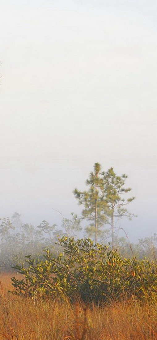 PeelitStickit, Beautiful Nature Wall Murals, ID-1174, vinyl