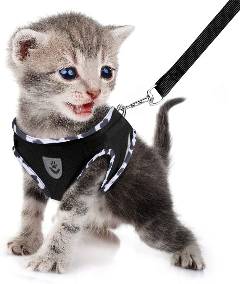 FEimaX Dog Harness and Leash Set, No Pull Adjustable Puppy Harness with Reflective Strip, Escape Proof Kitten Step-in Vest Fit Small Medium Dogs Cats
