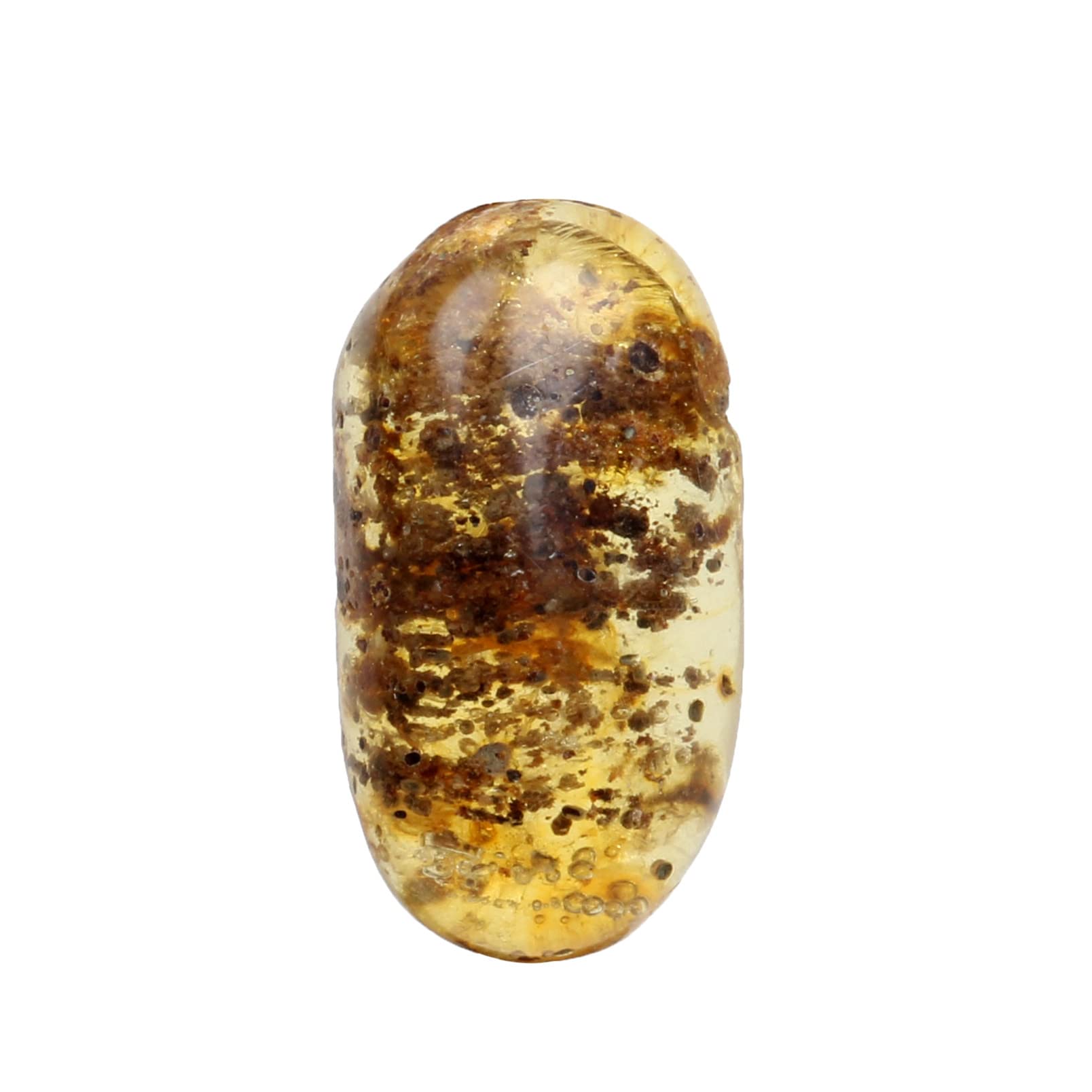 REAL-GEMS Genuine Myanmar Amber Stone Oval Shape with Fossils Insects Inclusions