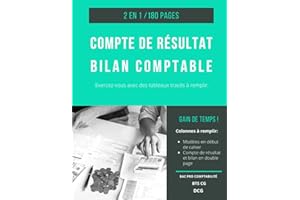 Compte de résultat Bilan comptable: Cahier 2 en 1, tableaux à remplir pour les exercices de comptabilité en DCG, DSCG, BTS CG