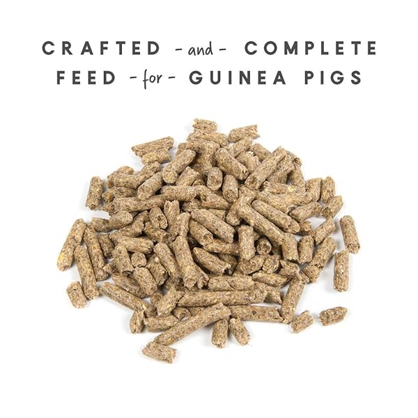 MANNA PRO GUINEA PIG FEED – WITH VITAMIN C – COMPLETE FEED FOR GUINEA PIGS – NO ARTIFICIAL COLORS OR FLAVORS – 5 LB