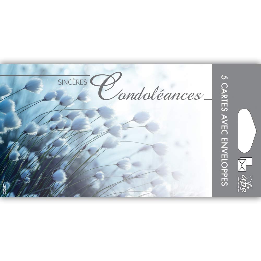 Afie C5257 - Pack of 5 Sincere Condolence Cards - Our Affectionate Thoughts Support You in The Test of Sheets - Made in France