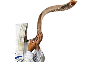 Kosher Jewish Kudu Blowing Horn Instrument Shofar from Israel - Kudu Shofar Angels Musical Instrument – Half Polished/Natural