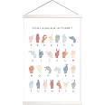 Amazon.com: American Sign Language Poster, ASL Alphabet Hanging Chart ...