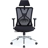Ticova Ergonomic Office Chair - High Back Desk Chair with Adjustable Lumbar Support, Headrest & 3D Metal Armrest