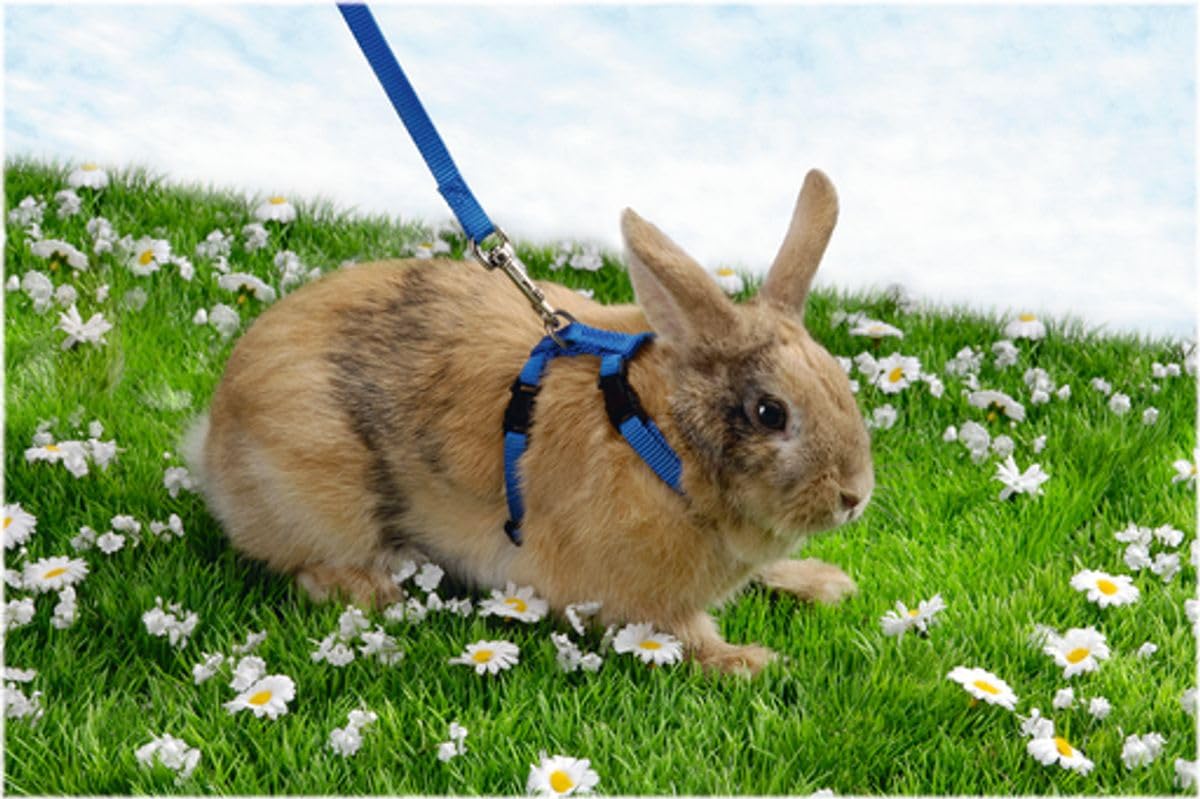 Trixie Rabbit Harness and Leash, Assorted Colors, 6260
