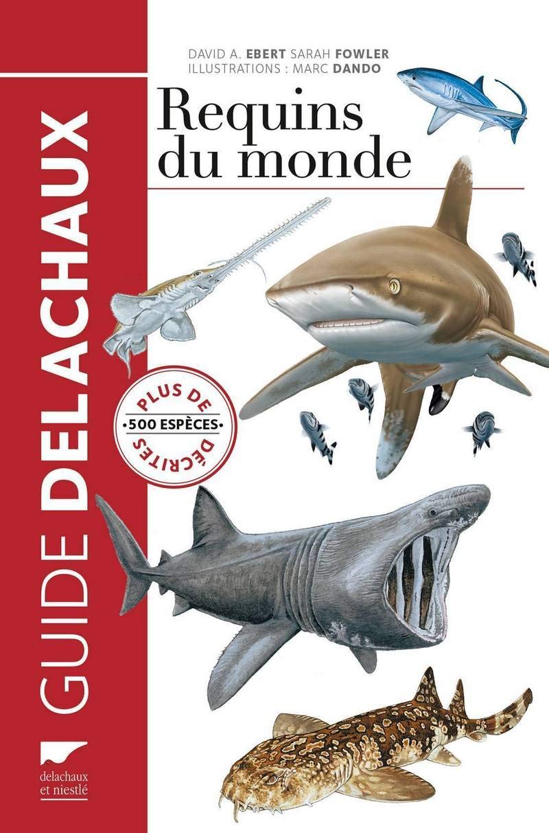 Amazon Fr Requins Du Monde Plus De 500 Especes Decrites Ebert Dave Fowler Sarah Dando Marc Livres