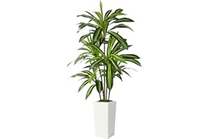 Alupssuc Artificial Dracaena Fake Tree 5FT, White High Pot Artificial Plants Indoor&Outdoor, Fake Plants for Office/Home/Livi