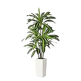 Alupssuc Artificial Dracaena Fake Tree 5FT, White