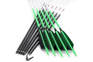 Linkboy Archery Carbon Arrows Hunting Practice Target Arrows Fluorescent with Removable Tip for Compound Recurve Long Bows, Spine 250 300 340 400 500 600 700 800, Pack of 6/12PCS