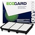 ECOGARD XA10599 Premium Engine Air Filter Fits 2017-2024 Nissan TITAN