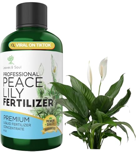 Amazon.com : Limetown Plant Vitality Elixir, Money Tree Fertilizer,  Limetown Phyto Vitamin Solution, Limetown Plant Fertilizer, 50ml, Plant and  Flower Liquid Solution (2 Pcs) : Patio, Lawn & Garden