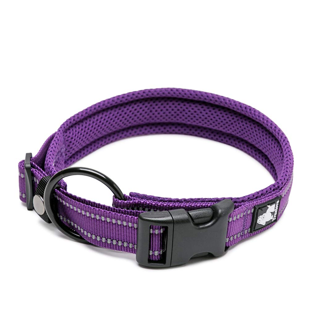 WINHYEPET True Love Dog Collar Reflective Sandwich lining Nylon Webbing Comfortable and Safe Adjustable Buckle convenient used for walking for Samll/Medium/Large neck ring TLC5011(Purple,M)