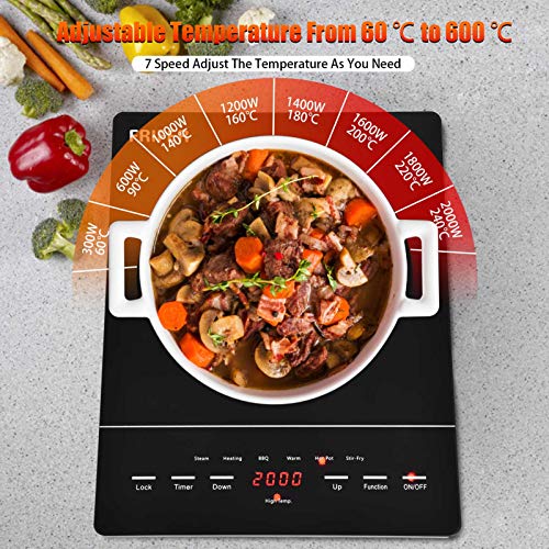 Frifer Builtin Induction Ceramic Hob, 220V Burner Touch Control