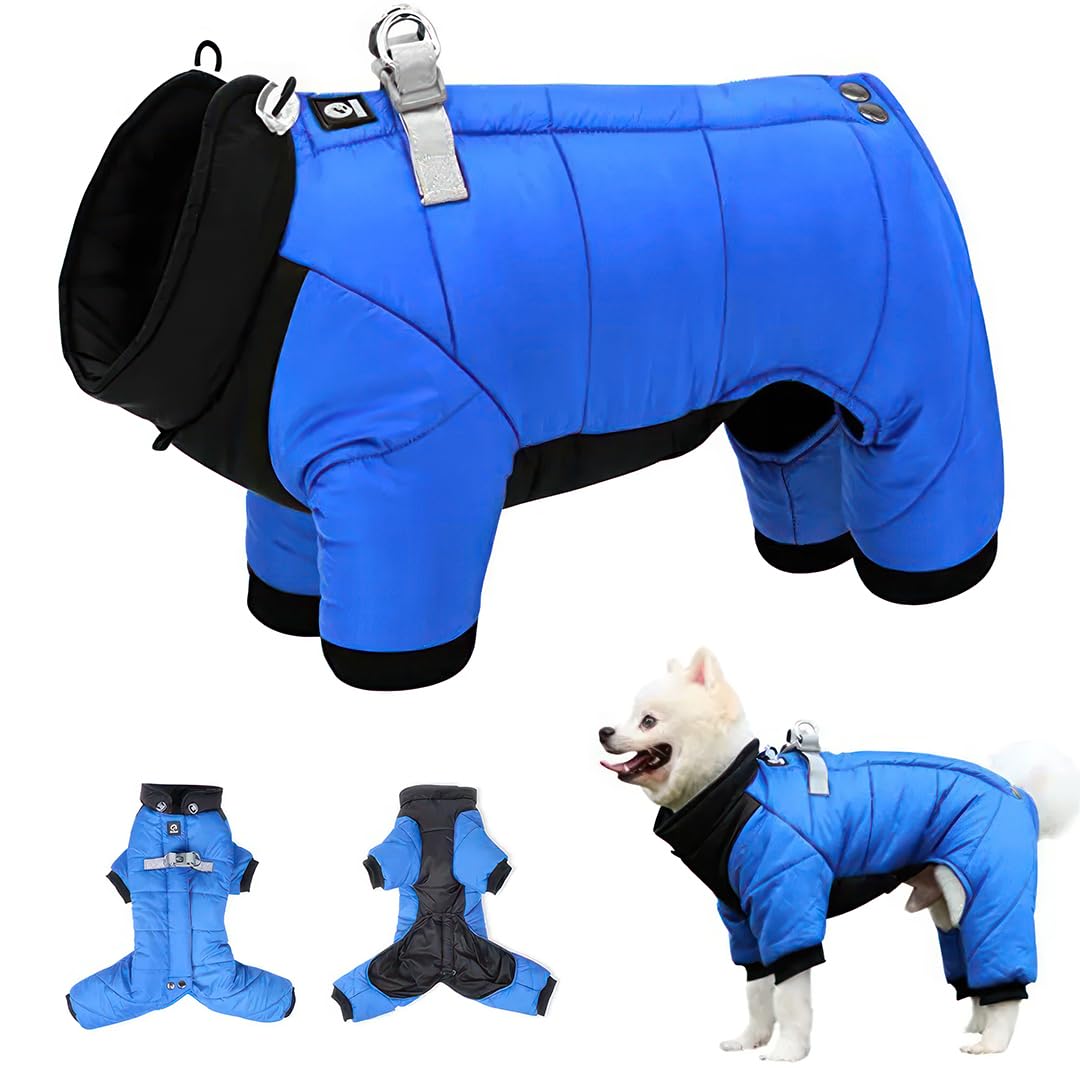 Dog Coats Waterproof (Blue, M) - Dog Raincoats, Keeps Your Pet Dry and Comfortable, Ideal for Small Dogs, Dachshunds, and Puppies