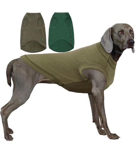 Camisa De Estimação Lisa Com Terno E Gravata Para Cães Médios Grandes