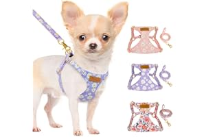 Lukovee Puppy Harness and Leash Set, No Pull Lightweight Pet Harness Vest for Puppy Small and Medium Size Dog, Adjustable Sof