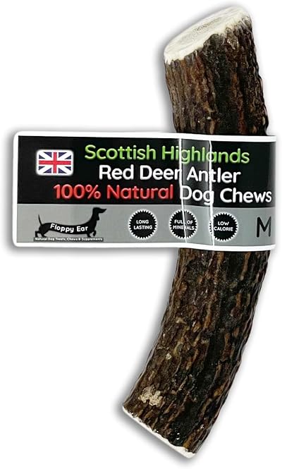 Floppy Ear Scottish Deer Antler Dog Chews Medium 90-130g
