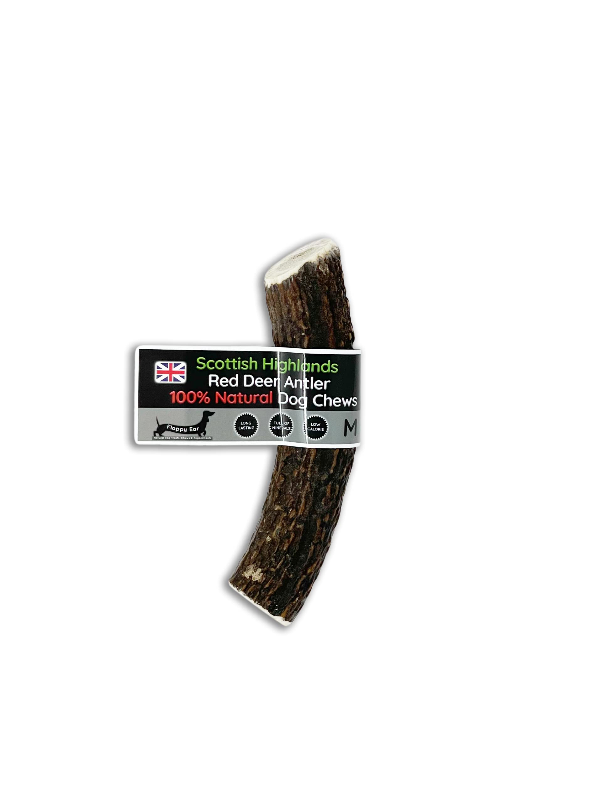 Scottish Deer Antler Dog Chews - Naturally Shed, Long Lasting, 100% Natural… (Deer Antler Chew Medium 90-130g) — image 1