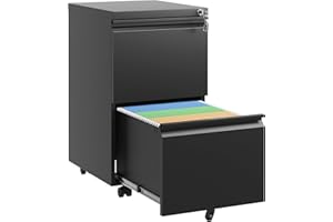 DARTIIA File Cabinet 2 Drawer with Lock,Filing Cabinet for Home Office,Fully Assembled,Mobile Metal Office Storage Cabinet on Wheels,Locking Lateral File Cabinet Underdesk,Black…
