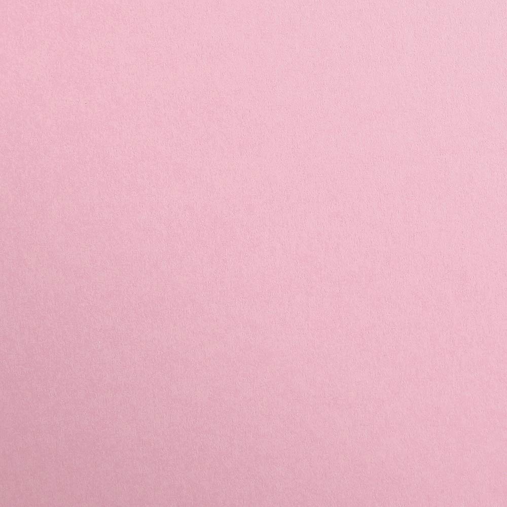 Clairefontaine - Ref 48165C - Single Wirebound Notebook (90 Sheets) - A4 (210 x 297mm), 90gsm Brushed Vellum Paper, Laminated Cardboard Cover - Random Colour Cover