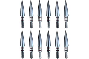 Aklisdlha 100/125/150/200 Grains Archery Field Points Practice Field Tips, Stainless Steel Archery Target Practice Hunting Arrow Tip for Recurve, Compound Bow Crossbow, Screw in Broadheads