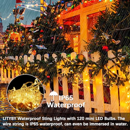 LITYBY Fairy Lights Plug in Waterproof,15M/49ft 120 LED String Lights Main Powered,8 Modes Remote Control Outdoor/Indoor,Garden Christmas Lights for Patio,Bedroom,Party Decorations (Warm White)