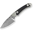 Buck Knives 662 Alpha Scout Select Fixed Blade Hunting Knife with 420HC Steel, Gray
