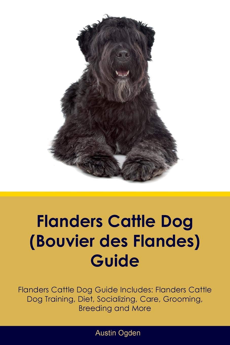 flanders cattle dog