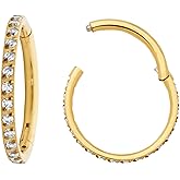 365 Sleepers Titanium Implant Grade 16G Gem Septum Jewelry Hinged Segment Ring Body Piercing Hoop Lip Rings Helix Cartilage Rook Sleeper Earrings 6mm – 14mm