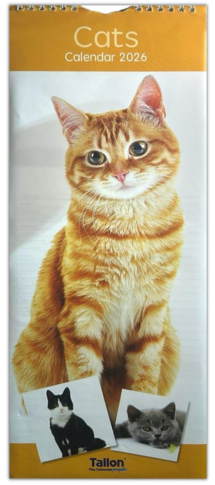 PSO 2026 Super Slim Month to View Spiral Bound Hanging Wall Calendar Home Office (Cats)