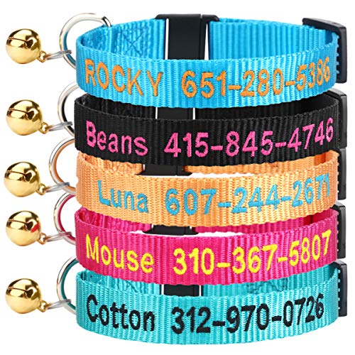 cat collar with name