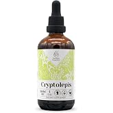 Cryptolepis Alcohol-Free Natural Tincture Extract, Immune System Booster, Liquid Drops Made from 100% Cryptolepis (Cryptolepis sanguinolenta) Dried Root (4 fl oz)
