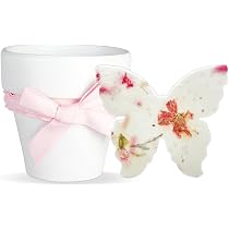 Amazon.com: Seed Bloom Juego de 6 semillas de papel – 6 mariposas ...