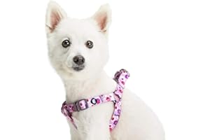 Blueberry Pet Essentials Step-in Spring Scent Inspired Garden Floral Dog Harness in Light Purple, Chest Girth 20" - 26", Medium, Adjustable Harnesses for Dogs