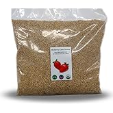 Hulled Barley 5 Pounds (dehulled) USDA Certified Organic Non-GMO Bulk, Product of USA, Mulberry Lane Farms