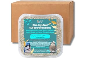 Chirp & Maple, Blue Jays Suet, Wild Bird Food (12 Pack) 3.7KG