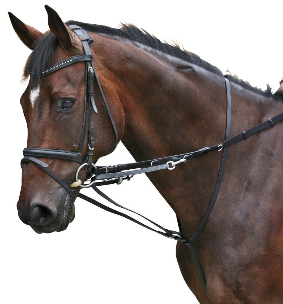 PFIFF Enrênement Thiedeman black black Size:Pony