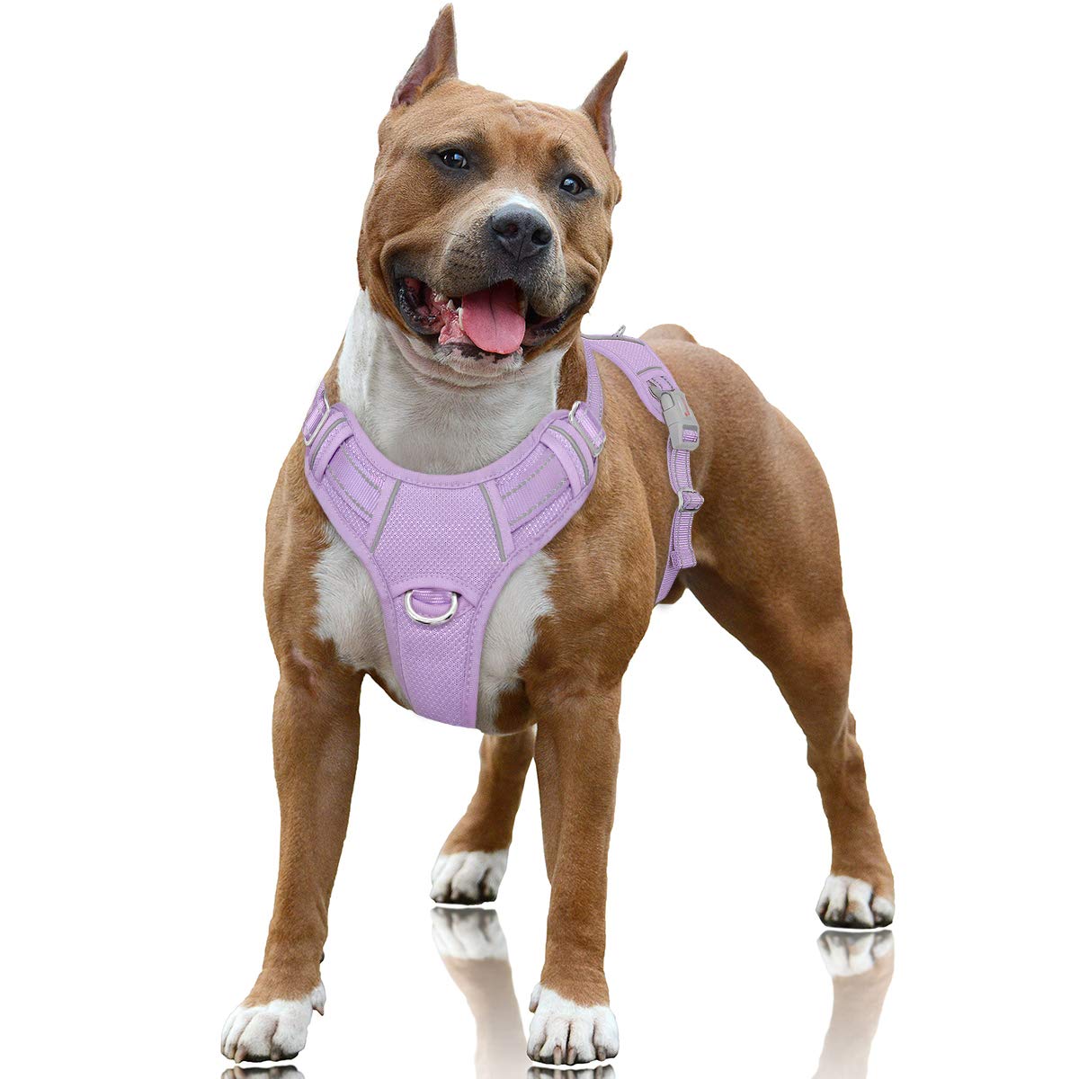 Photo 1 of BARKBAY No Pull Dog Harness Large Reflective Dog Harness with Front Clip and Easy Control Handle for Walking Training Running with ID tag Pocket(Violet Purple,L)