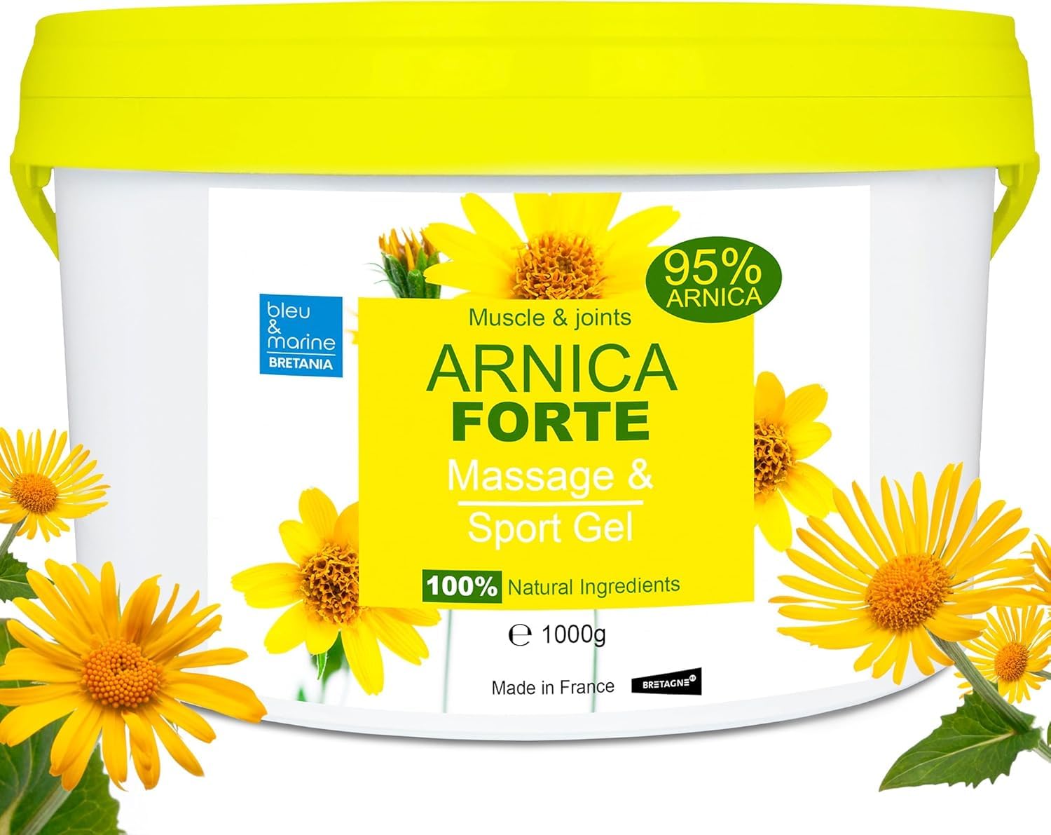 Organic Arnica Gel, 95% Natural, Fast Muscle & Joint Pain Relief, Reduces Post-Surgical Bruising, Soothes Stiff Muscles, Swelling, and Inflammation, Perfect for Sports Injuries and Sore Muscles, 1 kg