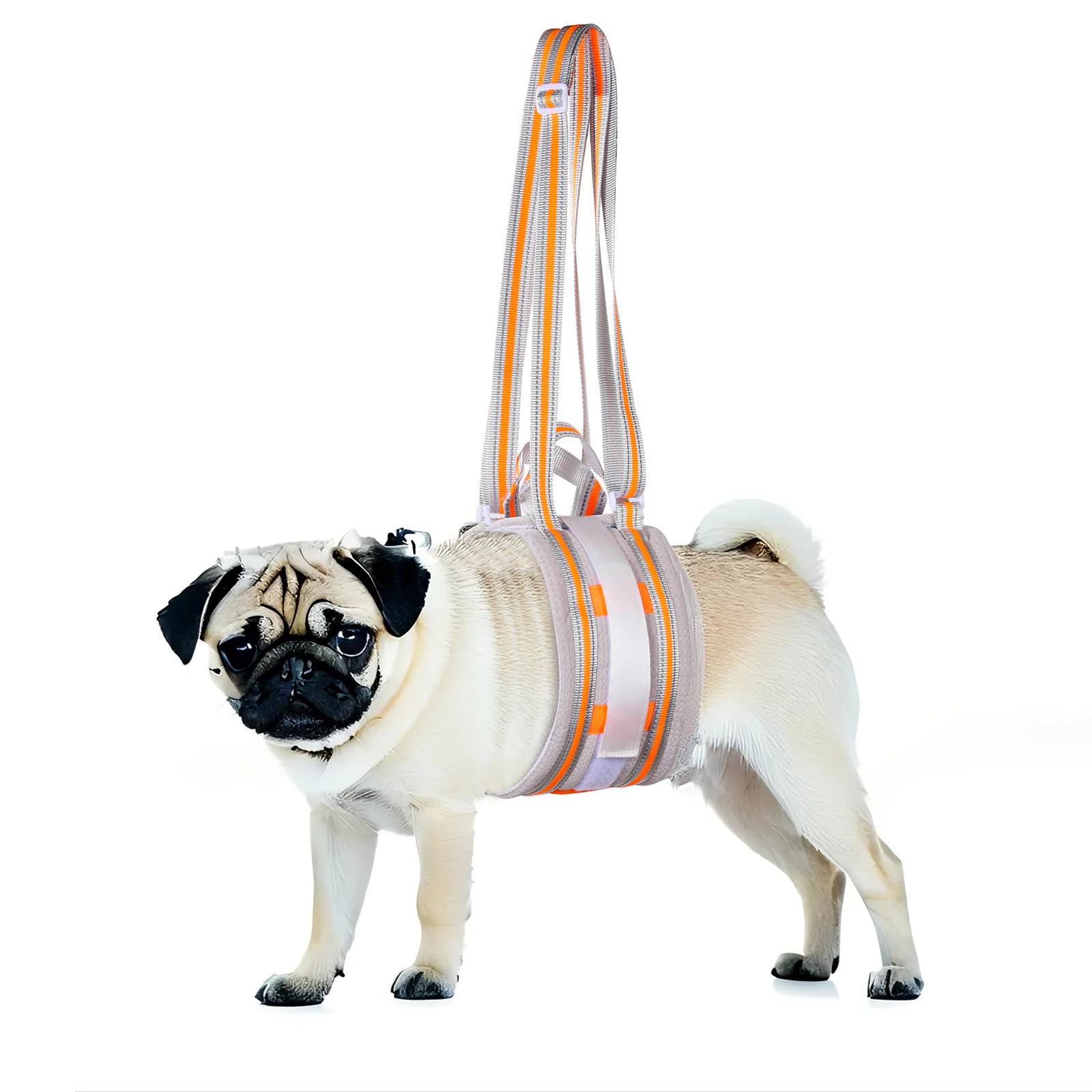 Photo 1 of Portable Dog Lift Harness,Dog Sling for Small Dogs Hind Leg Support,Reinforcement Against bunching,Suitable for 8-24 lbs Dogs with Weak Rear Legs, Helps Senior, Injured, Disabled,After ACL Surgery,S