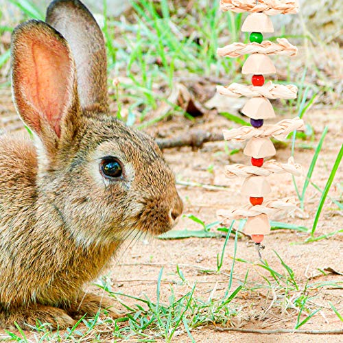 Roundler DIY Rabbit Hamster Chew Toys, Pet Snacks Molar Toys, Make a Unique Chew Toy for Small Animals, Suitable for Rabbits, Chinchillas, Guinea Pigs, Hamsters, Chewing/Playing (Style-3)