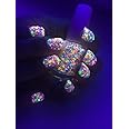 DIRECTGLOW LLC FUNFETTI: Custom-Blended UV Blacklight Reactive NEON Glitter Nail Polish/Lacquer/Indie Polish