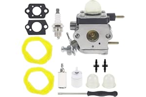 Hutdkte 753-06753 Carburetor for MTD Leaf Blowers RM2BV YM2BV RM2BL