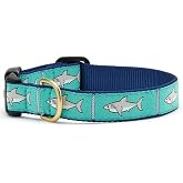 Up Country Shark Pattern (Collar, X-Small (6 to 12 inches) 5/8 inch Narrow Width)