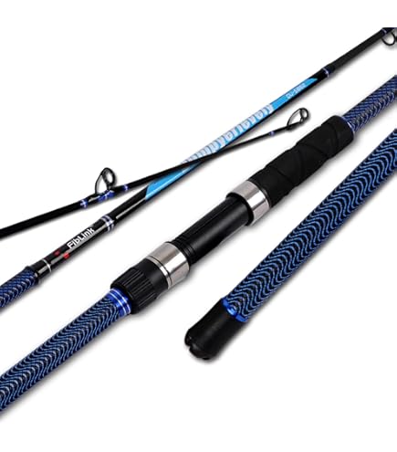 DAIWA Seahunter Surf, 15 Feet, 3.50-8.80 Ounce, 3 Parts, Surfcasting Fishing Rod : Sports & Outdoors