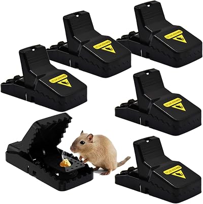 Briteen 6 Pack Mouse Traps Indoor Instant Kill Stainless Steel Spring Safe Set