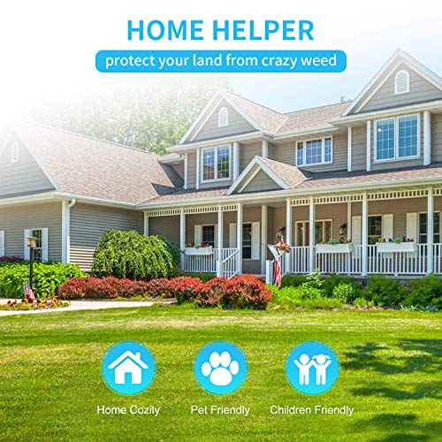 Weed Torch Propane Burner,Blow Torch,50,000BTU,Gas Vapor, Self Igniting