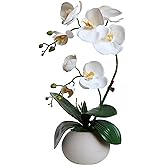 Forlaoers Tall 17" White Real Touch Orchid Artificial Flowers with Vase Fake Orchids Silk Floral for Home Decor Indoor Bathroom Decoration Potted Office Table Top Centerpieces Arrangements