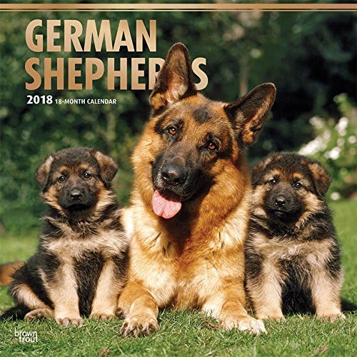 German Shepherds 2018 Wall Calendar (Multilingual) Calendar – Wall Calendar, 1 Aug. 2017